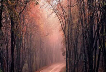 东升国际体育：2-0+2连胜！郑钦文杀入16强提75万奖金 时隔6年.