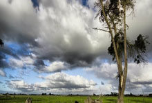 东升国际体育：17胜3平，巴萨自2016年以来首次取得开年20场不败.