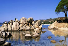 东升国际体育：2-0+2连胜！郑钦文杀入16强提75万奖金 时隔6年.